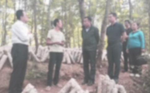 个人违纪检讨书