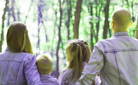 �ҳ����������