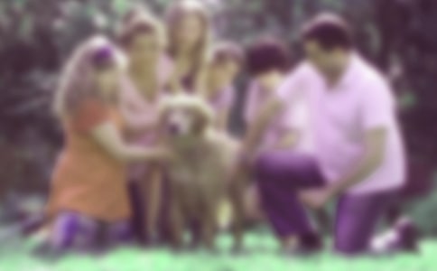 ��ͥ���������ƻ�