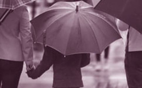 ����ͥ�����������ĵ�