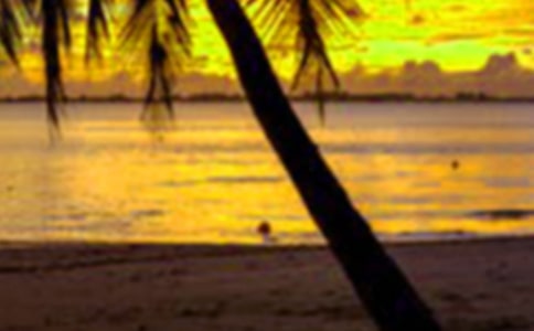 �����ڼ�˼��㱨