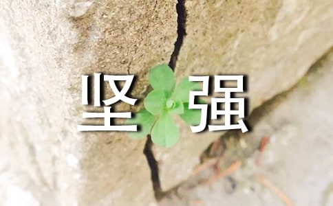 坚强作文300字集合六篇