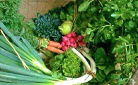 阳光心态健康成长主题班会