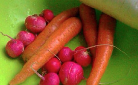 �������Ľ�����������