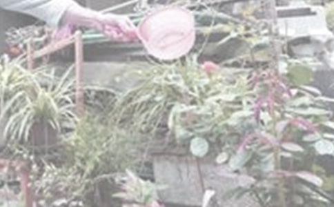 ��ˮ�����ĺô��ͻ���