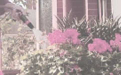 ���Ƽ�����������300����ƪ