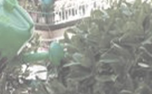 ���ϼ�������������300��3ƪ