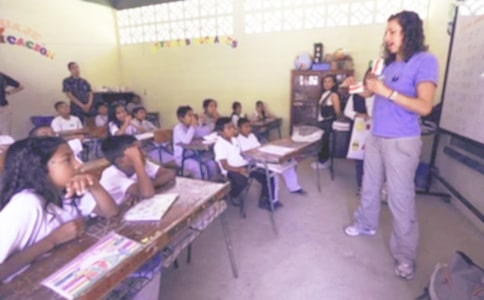 大班语言教学活动方案