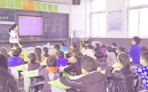 信息技术的教学方案