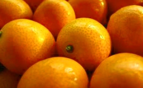 ��۵�����300�ֺϼ�7ƪ