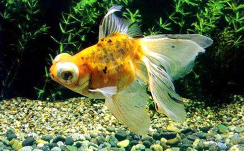 ����ѡ����������400����ƪ