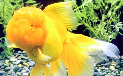 ���ͽ�������