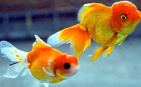 �Ҽҽ�������300��9ƪ