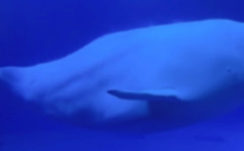 ʵ�õľ�������300��3ƪ���ر���