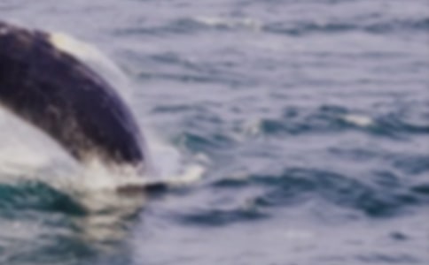 ���������300��