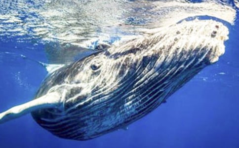 ���������300����ѡ(3ƪ)