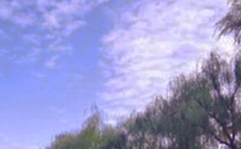 描写夜晚景色的句子15篇