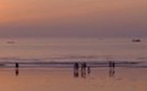 2023年通用景色优美句子87句