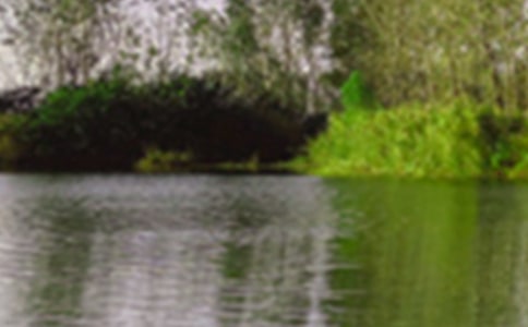 ��д������ɫ��ʫ������Щ