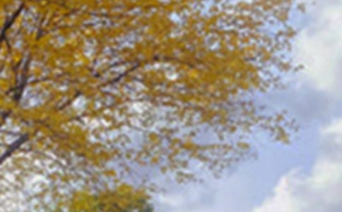 ������д��ԭ��ɫ�ľ���,��д��д��ԭ��ɫ�ľ���