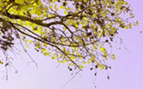 2023年景色优美句子汇编45条