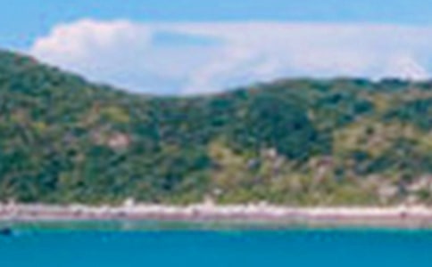 �Ŵ���ɫ��д��ȫ,���ݹŴ���ɫ�ľ���