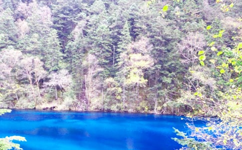 ��կ���ĵ����15ƪ