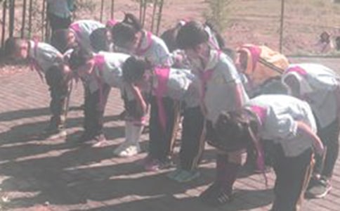 鞠躬尽瘁死而后已的意思