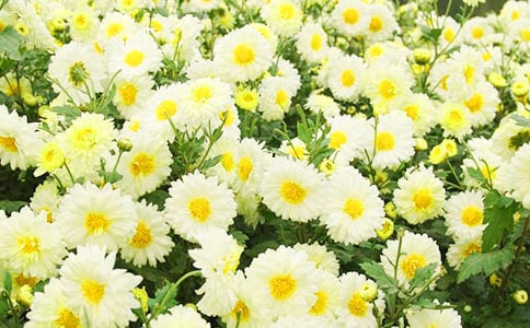 ����ľջ�����300��6ƪ