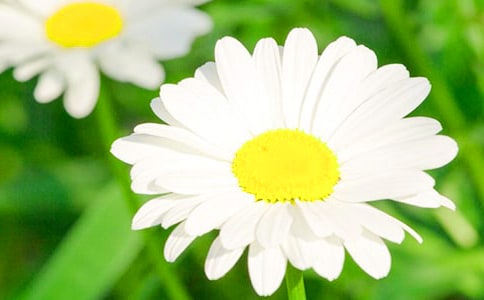 ��д�ջ��ľ���