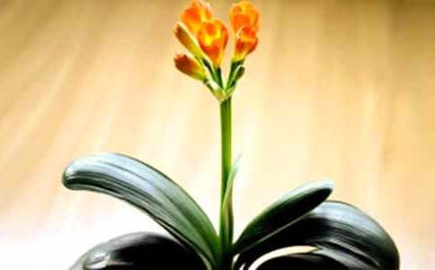 ��д�������ľ��Ӵ�ȫ