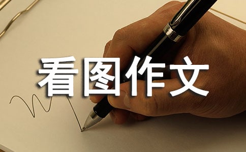 �����������꼶��ͼ���ĺϼ�8ƪ