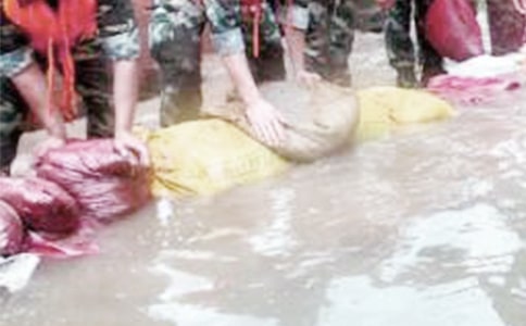 ������־���ı����ѡ50�䣩