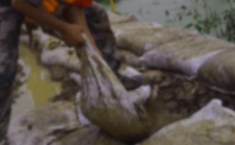 防汛抗洪工作总结(精选5篇)