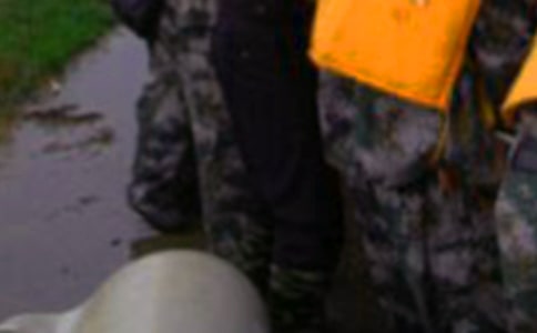 ���������ĵ����