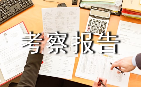 拟任干部考察报告范本200字