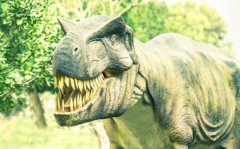 �������������������