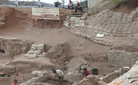 ú���˵�Ա��ŵ��