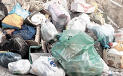 ��������ѧ�������鷶��