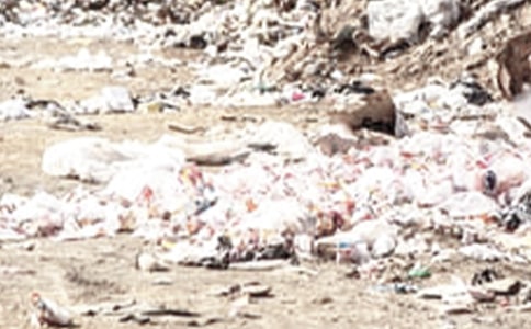 ��������ѧ��������