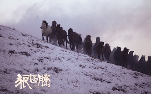 ��ͼ�ںôʺþ�ö�ժ��