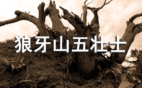 《狼牙山五壮士》读后感