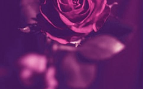 幸福浪漫的网名