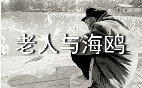 �������뺣Ÿ�������