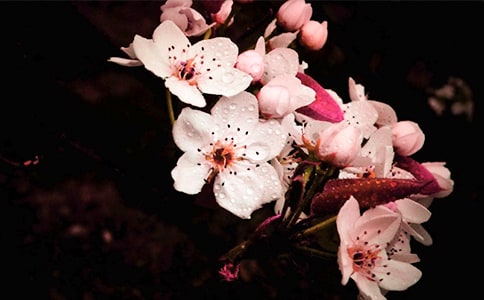 �滨����300��