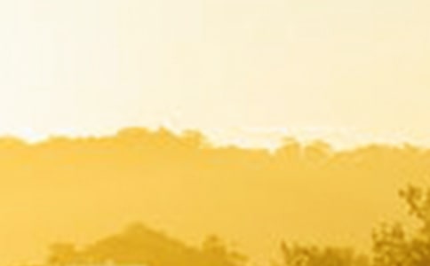 关于黎明的优美句子