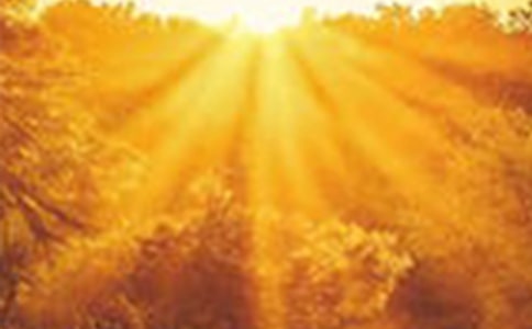 ������ѧ����Щרҵ����ר����