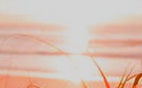 ������ѧר������ʲô��ѧ