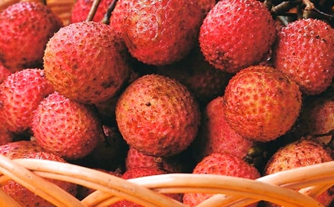 ʵ�õ���֦����300����ƪ