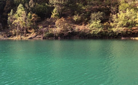 ����������ʫ��